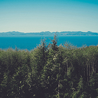 信息轰炸在线使用免费