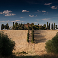 信息轰炸在线使用免费